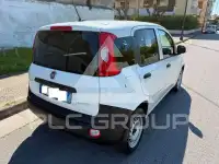 2020 Fiat Panda