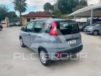 2020 Fiat Panda