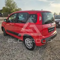 2020 Fiat Panda