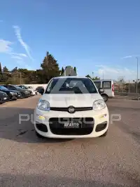 2020 Fiat Panda