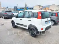 2020 Fiat Panda