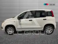 2020 Fiat Panda