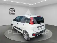 2020 Fiat Panda