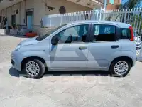 2020 Fiat Panda