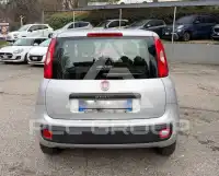 2020 Fiat Panda