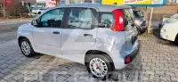 2020 Fiat Panda