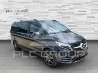 2020 Mercedes Benz V 300