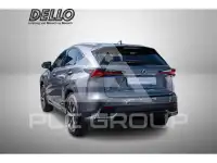 2020 Lexus NX300
