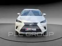 2020 Lexus NX300