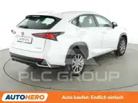 2020 Lexus NX300
