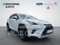 2020 Lexus NX300