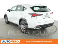 2020 Lexus NX300