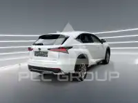2020 Lexus NX300