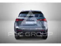 2020 Lexus NX300