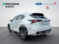 2020 Lexus NX300