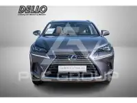 2020 Lexus NX300