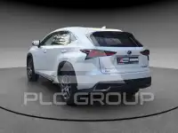 2020 Lexus NX300