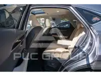 2020 Lexus NX300