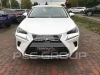 2020 Lexus NX300
