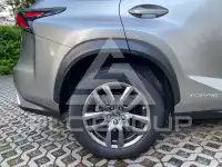 2020 Lexus NX300
