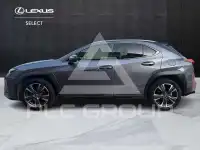 2020 Lexus Other