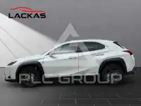 2020 Lexus UX