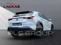 2020 Lexus UX