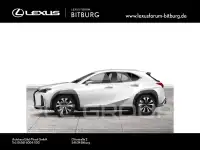 2020 Lexus UX
