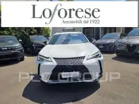 2020 Lexus UX