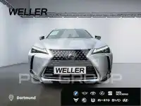 2020 Lexus UX