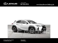 2020 Lexus UX