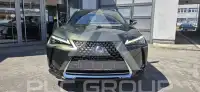 2020 Lexus UX