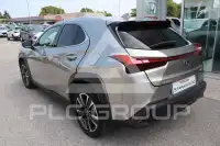 2020 Lexus UX