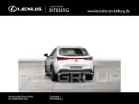 2020 Lexus UX