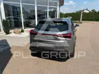 2020 Lexus UX