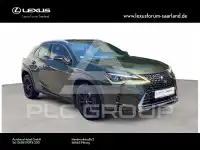2020 Lexus UX