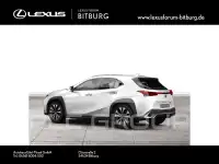 2020 Lexus UX