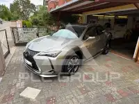 2020 Lexus UX