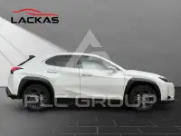 2020 Lexus UX