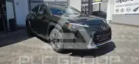 2020 Lexus UX