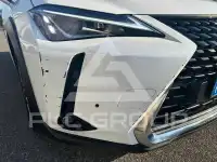 2020 Lexus UX