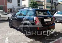 2020 Mini Unknown