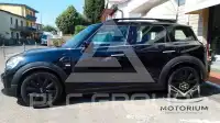 2020 Mini Unknown