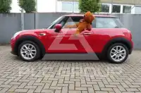 2020 Mini COOPER