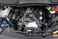 2020 Ford Tourneo