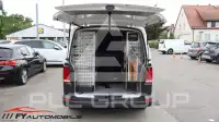 2020 Volkswagen T6