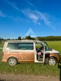 2020 Volkswagen T6