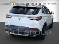 2020 Opel GrandlandX