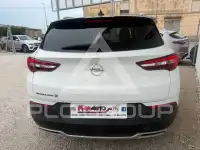 2020 Opel GrandlandX