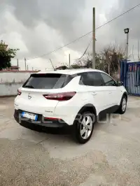 2020 Opel GrandlandX
